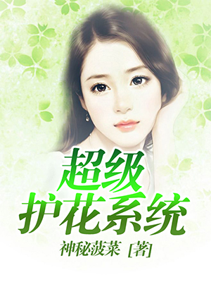 超级护花系统