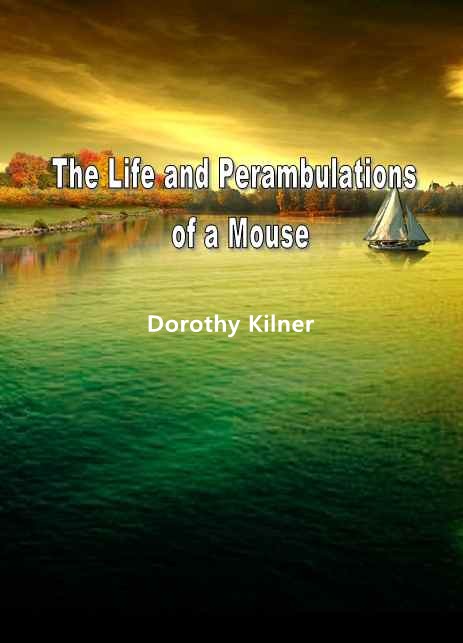 The Life and Perambulations of a Mouse