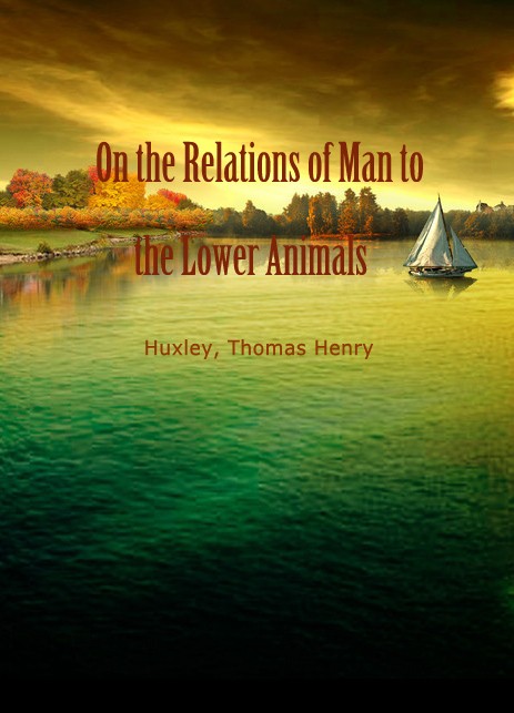 On the Relations of Man to the Lower Animals