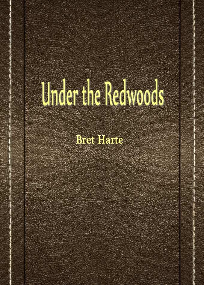 Under the Redwoods