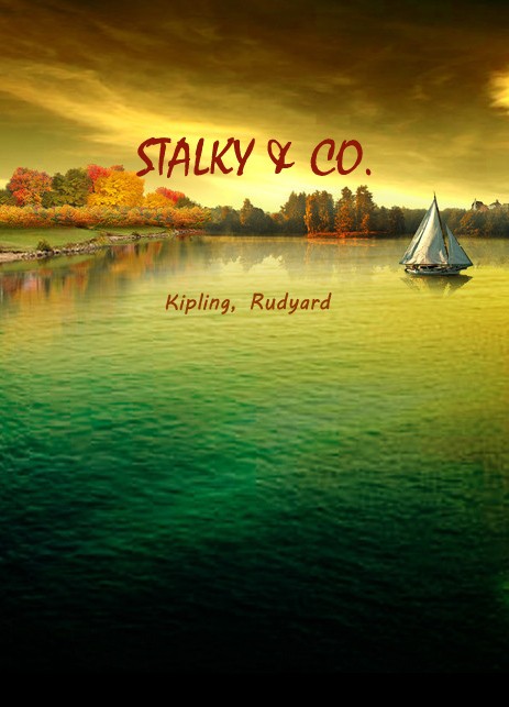 STALKY  CO.