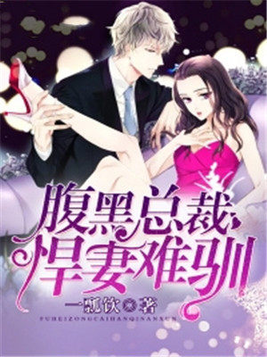 腹黑总裁：悍妻难驯