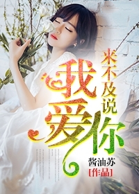 来不及说我爱你