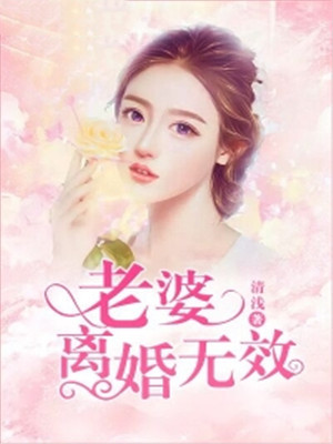 老婆，离婚无效