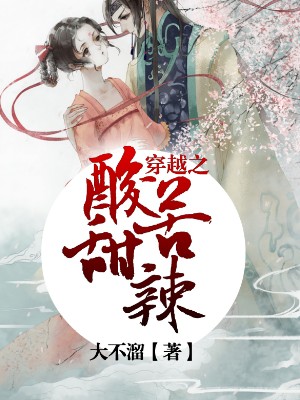 穿越之酸甜苦辣