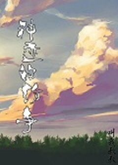 神迹纷争