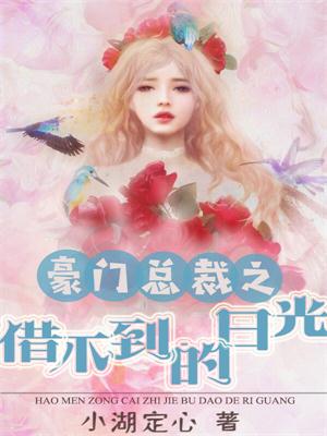豪门总裁之借不到的日光