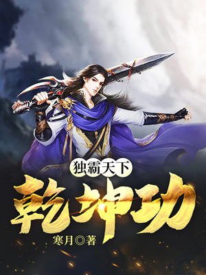 独霸天下：乾坤功