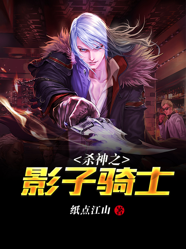 杀神之影子骑士