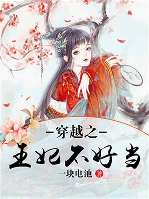 穿越之王妃不好当