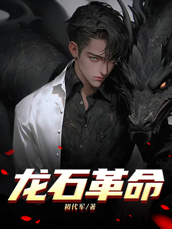 龙石革命