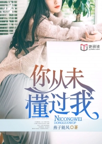 你从未懂过我
