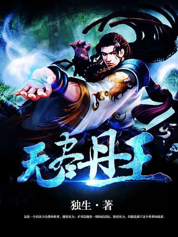 无尽丹王