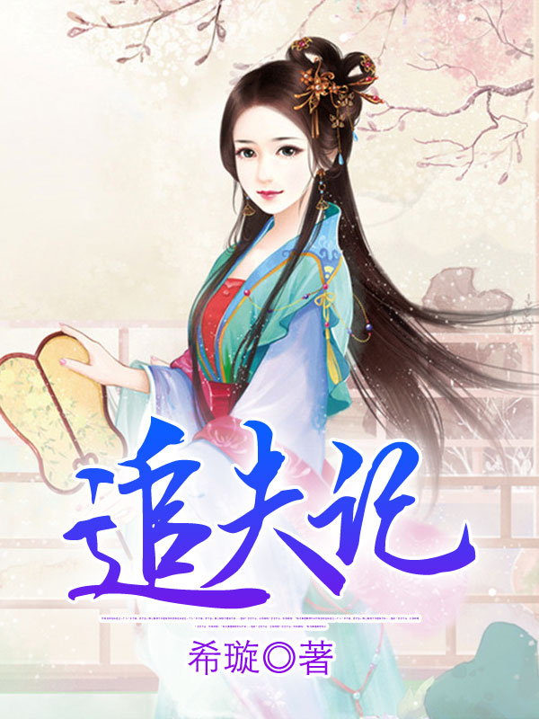 追夫记
