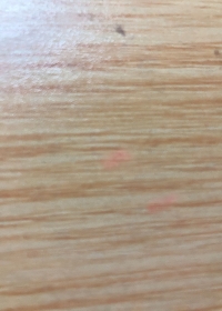 ʧ