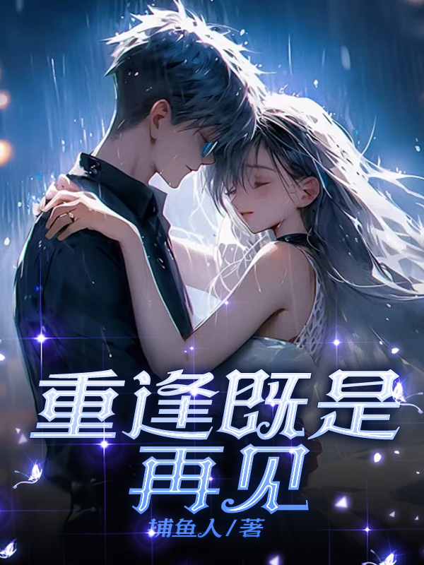 重逢既是再见