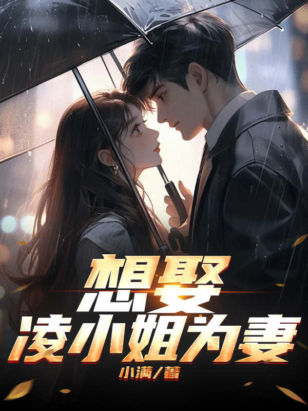 想娶凌小姐为妻