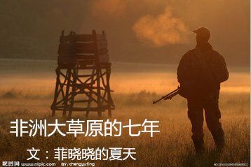 非洲大草原的七年