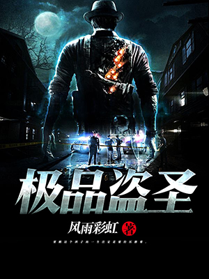 极品盗圣