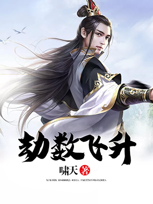 劫数飞升