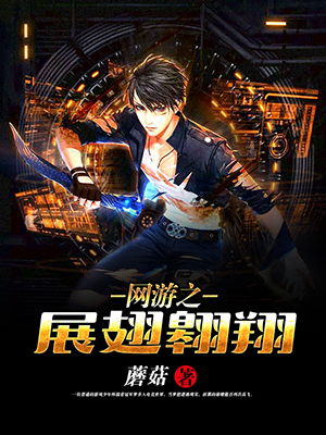 网游之展翅翱翔