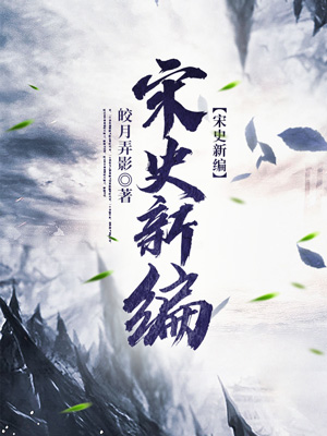 宋史新编