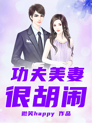 功夫美妻很胡闹